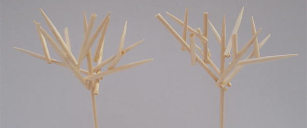 toothpick tree