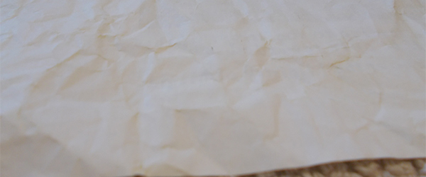 Parchment Guide Image