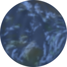 earthPlanet38.png
